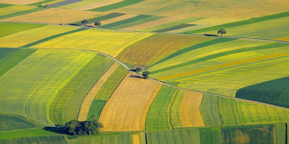 Trusted Digital Land Services at Your Fingertips