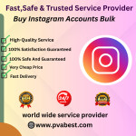 pvabest 1 Profile Picture