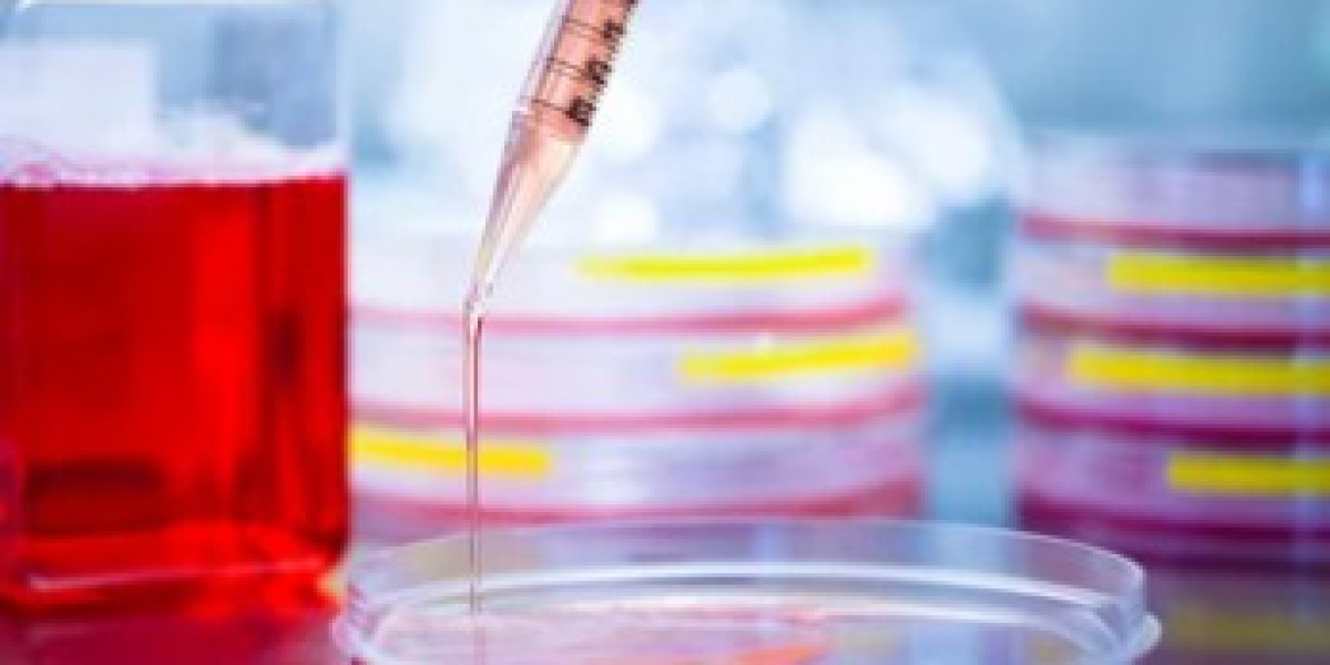 Unlocking the Power of Autotrophic Bacteria Cultivation: A Sustainable Leap in Microbial Biotechnology
