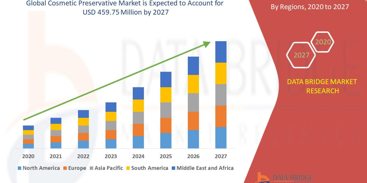 Cosmetic Preservative Market Size, Share, and Growth Opportunities
