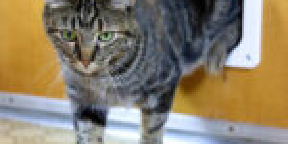 Five Swift Cat Flap Installation Lessons From The Professionals