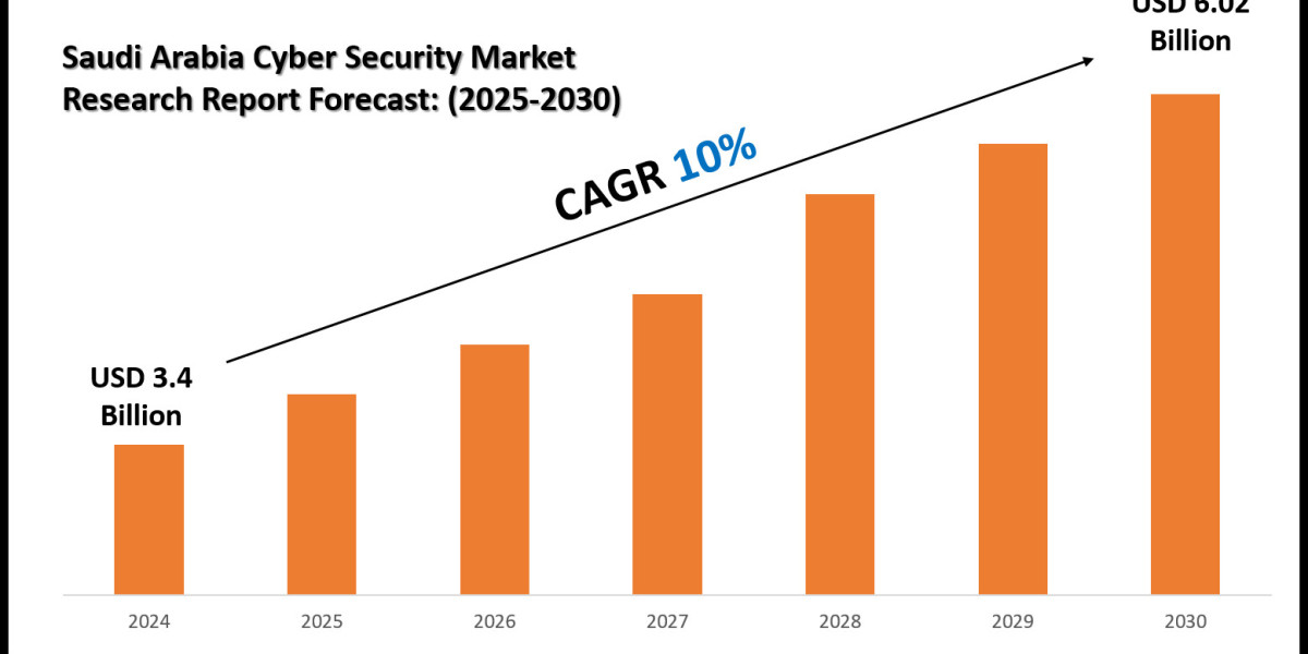 Saudi Arabia Cyber Security Market Trends, Innovation, Size, and Key Player: Saudi Arabia Cyber Security
