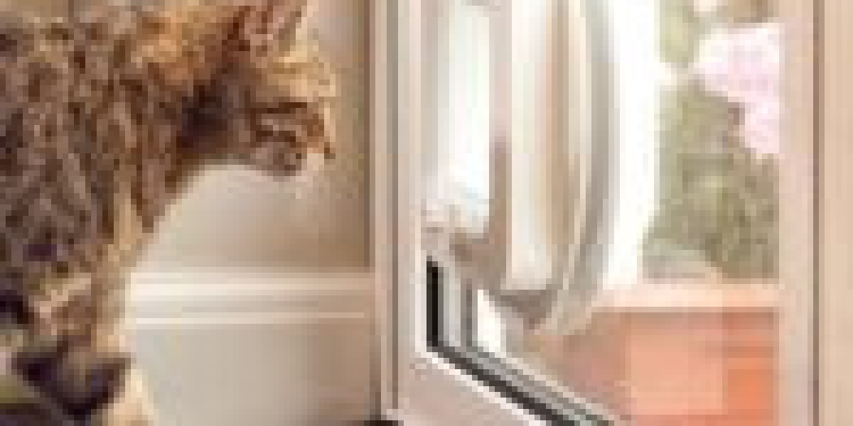 9 Things Your Parents Taught You About Quick Cat Flap Installation