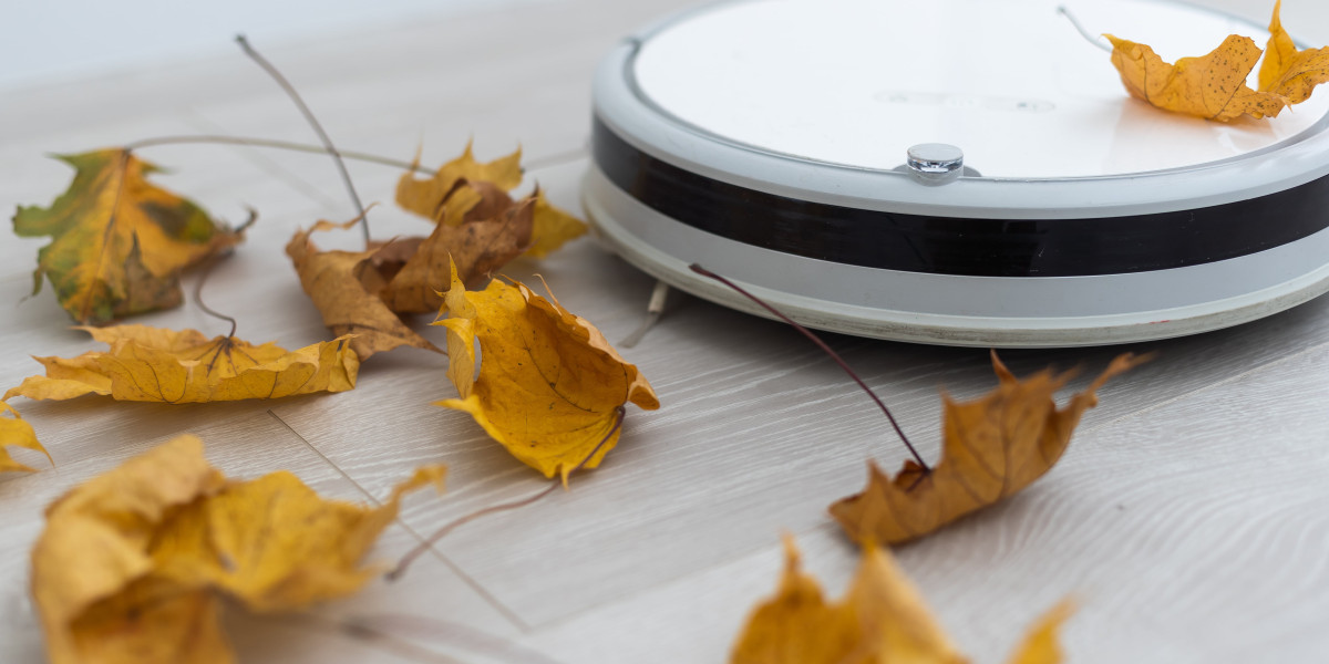 The 9 Things Your Parents Taught You About Vacuums Robot