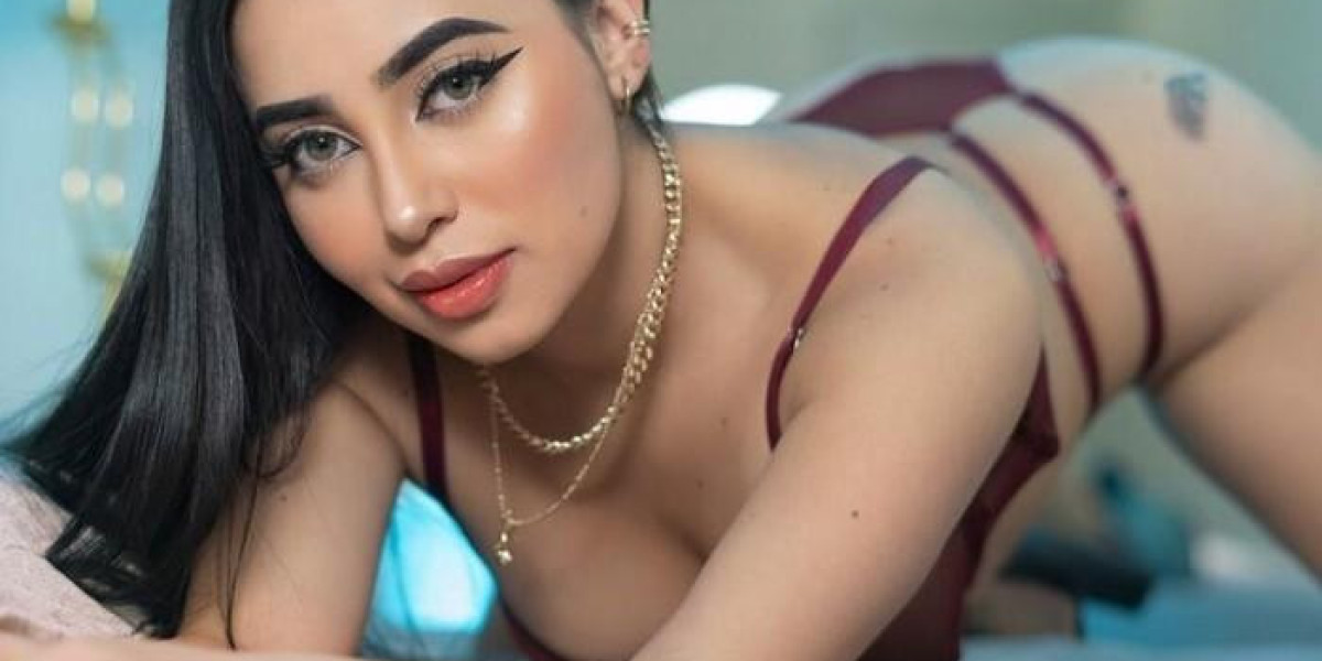 High-Class Noida Escorts Service Offering In call And Outcall