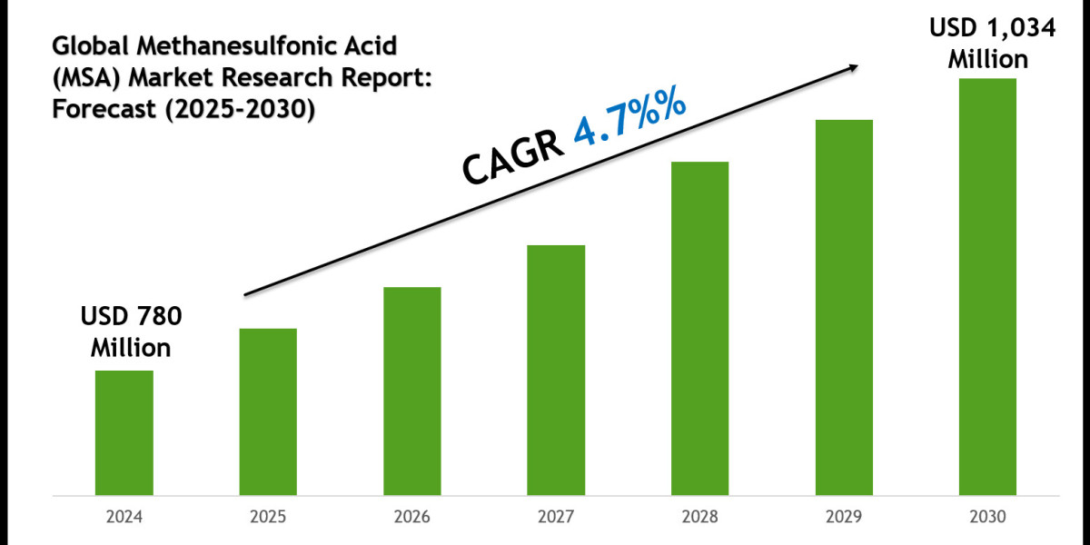 Top Companies in the Methanesulfonic Acid (MSA) Market 2030