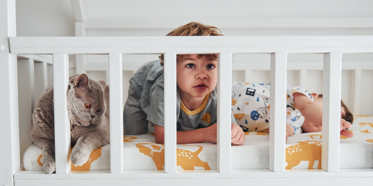 The Most Successful Cots Offers Experts Have Been Doing Three Things