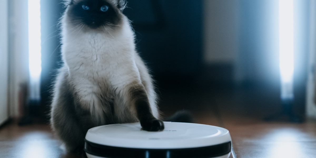 9 Lessons Your Parents Taught You About Best Robovac