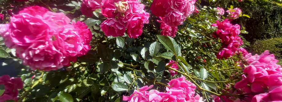 Татьяна Павлова Cover Image