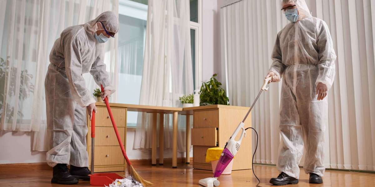 Spotless Spaces, Happier Living: Professional Cleaning Services in Ipswich