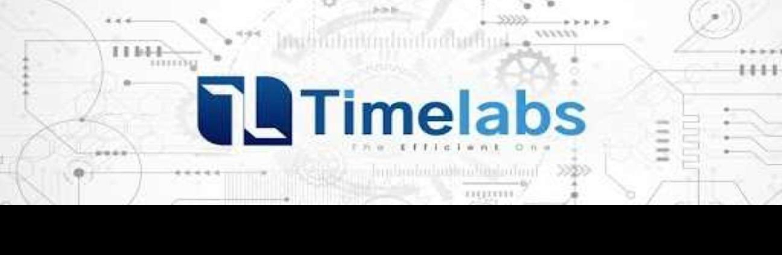 Timelabs HR Software Cover Image