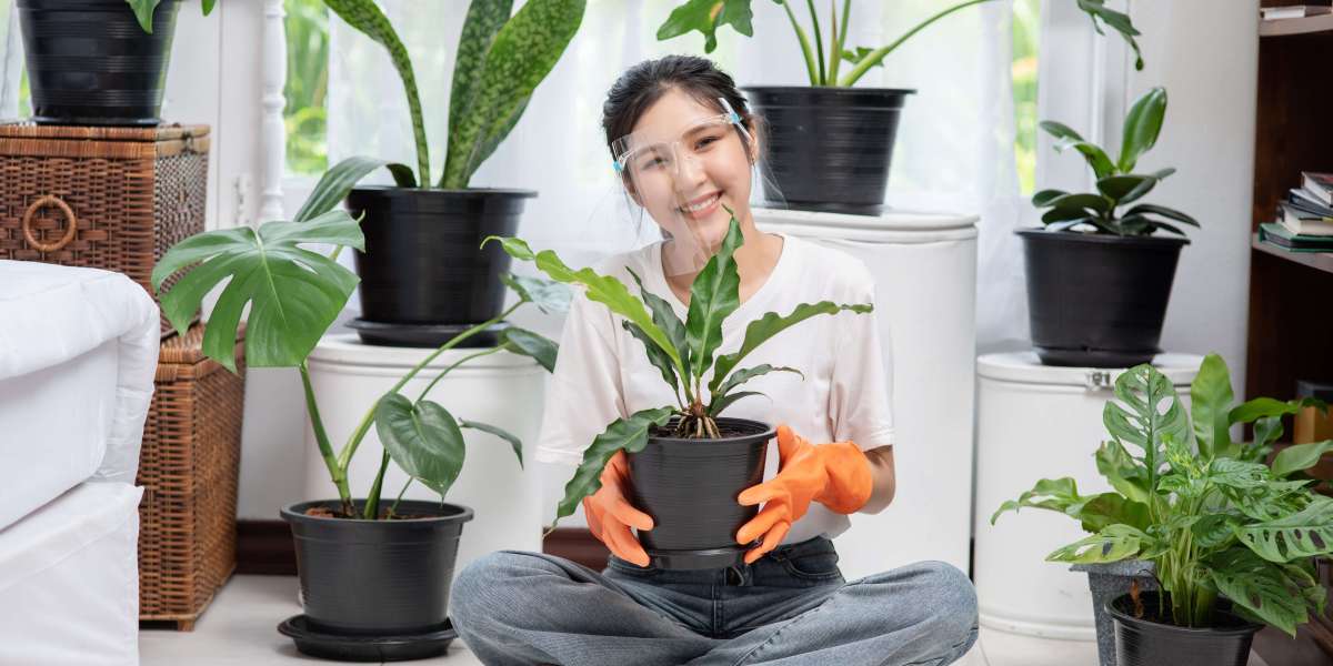 Article Picture