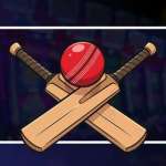 iplcricket idcom Profile Picture