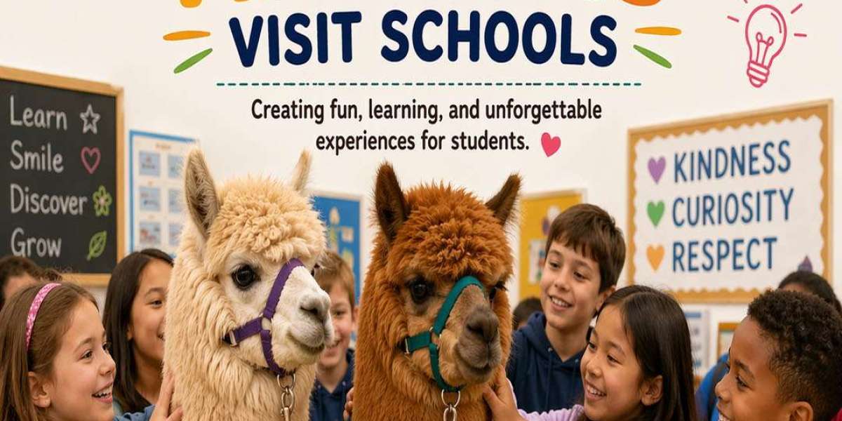 Alpacas School Visits Ireland – A Fun & Educational Experience for Students