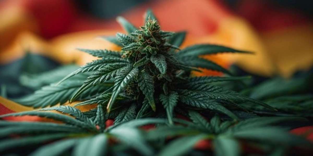 Article Picture