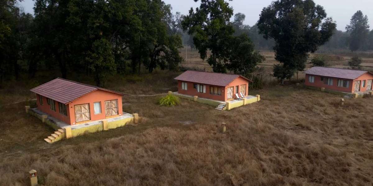 Best Budget Resort in Bandhavgarh for Family – A Perfect Stay at Atulya Kanchi Camp