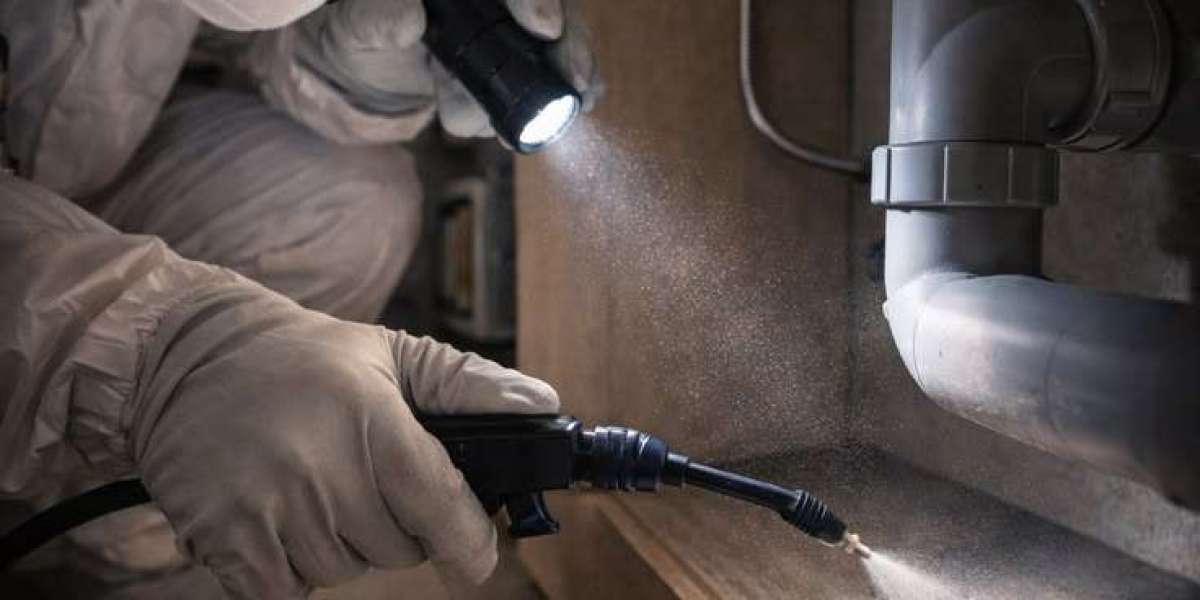 Reliable Pest Prevention and Pest Control Services Phoenix Homeowners Depend On