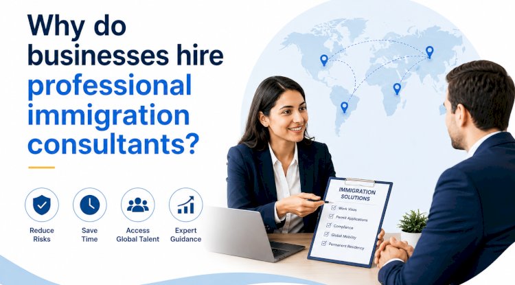 Why do businesses hire professional immigration consultants? - Free Instant Approval Guest Posting Website