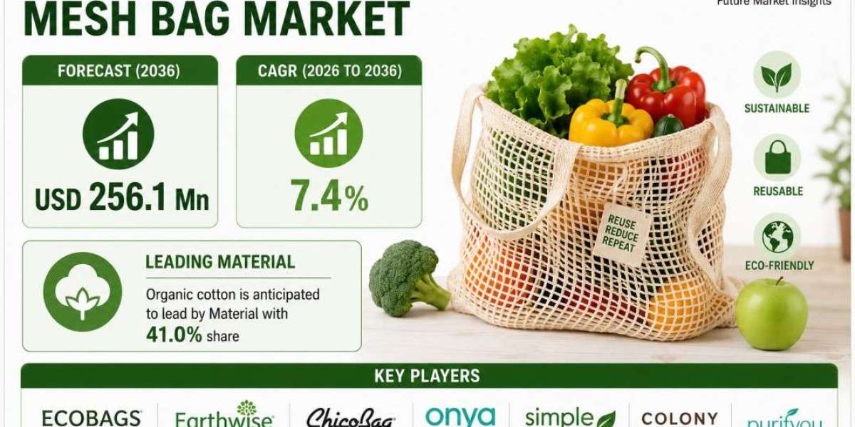 Основные моменты рынка многоразовых сетчатых мешков для продуктов в США: компания ECOBAGS лидирует по темпам роста рынка