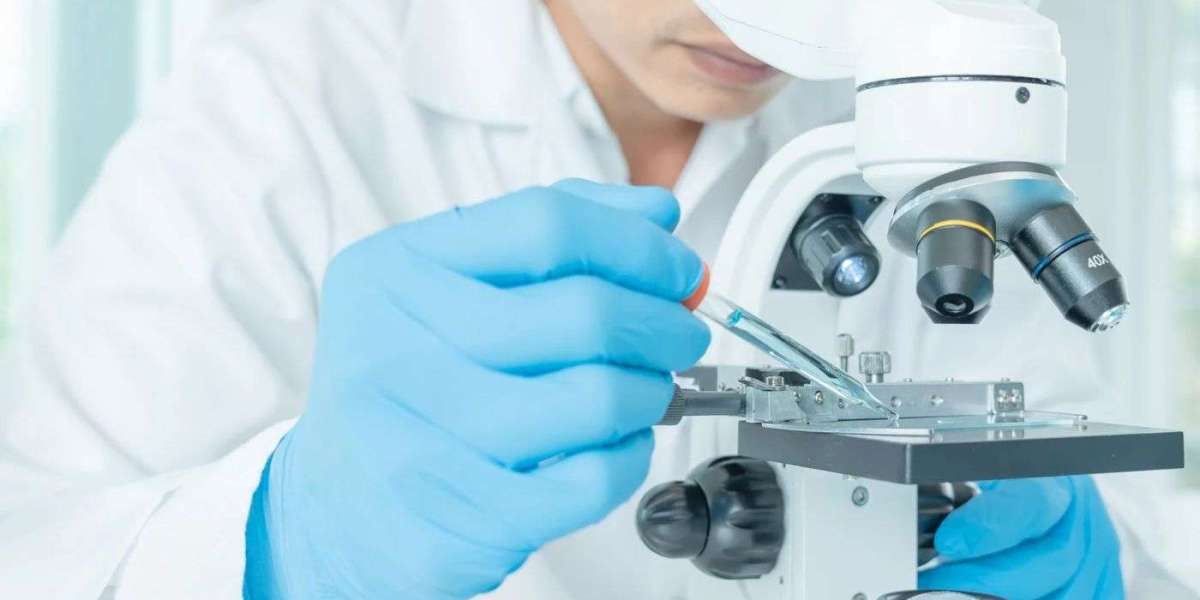 Gut Microbiome Test and Fiber: What Your Results May Tell You