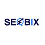 Seo Bix Profile Picture