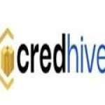 credhive fintech Profile Picture