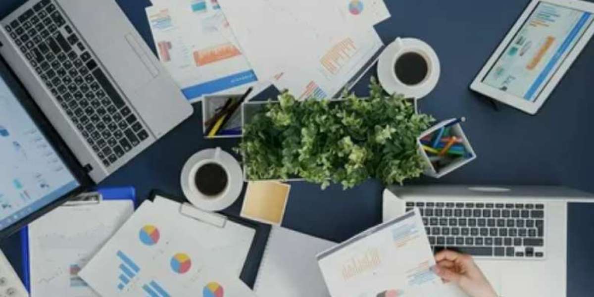 Web Development Experts Helping Businesses Grow Online
