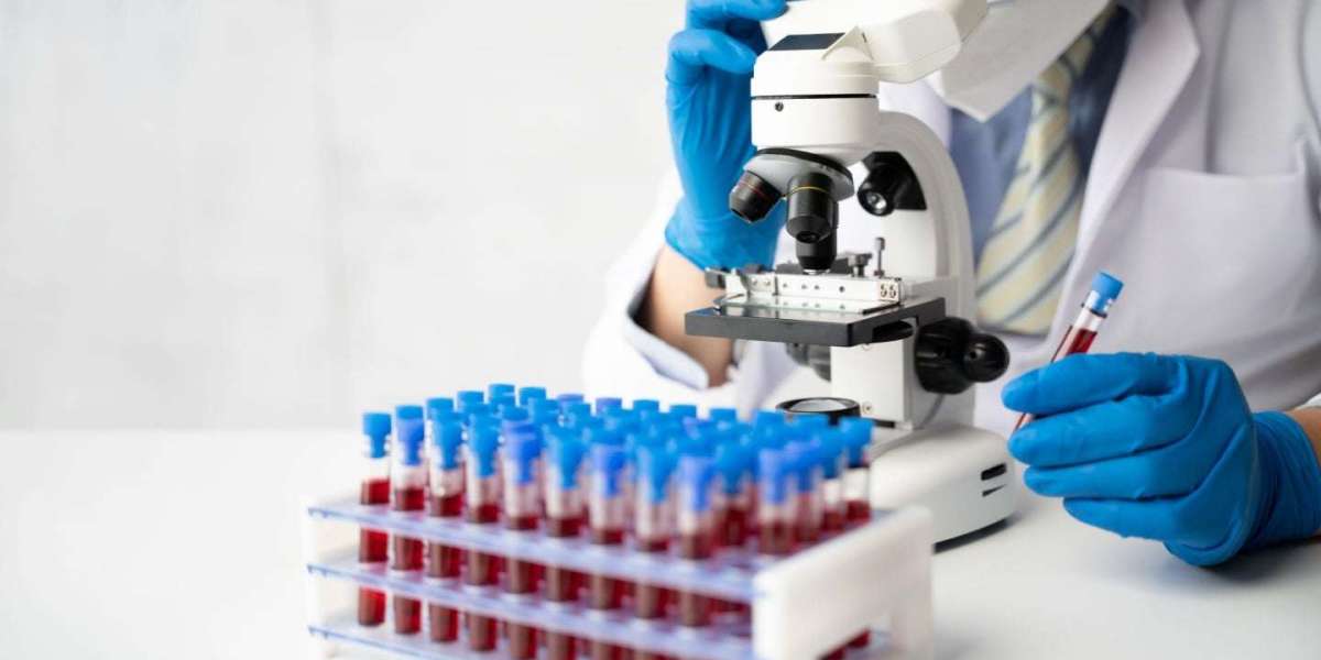 Anti-Gliadin Ab IgA & IgG Test for Celiac Disease: What Patients Should Know