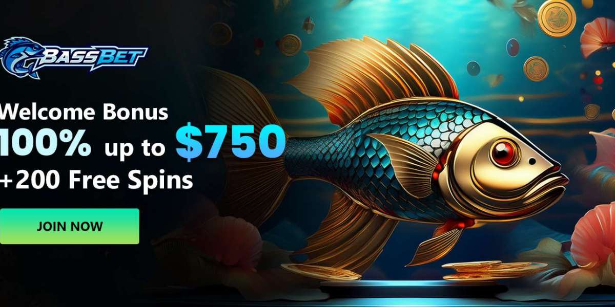 Bassbet Casino Slot Features Worth Knowing Before You Play