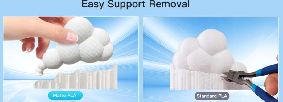 3D Radical Prints Cover Image