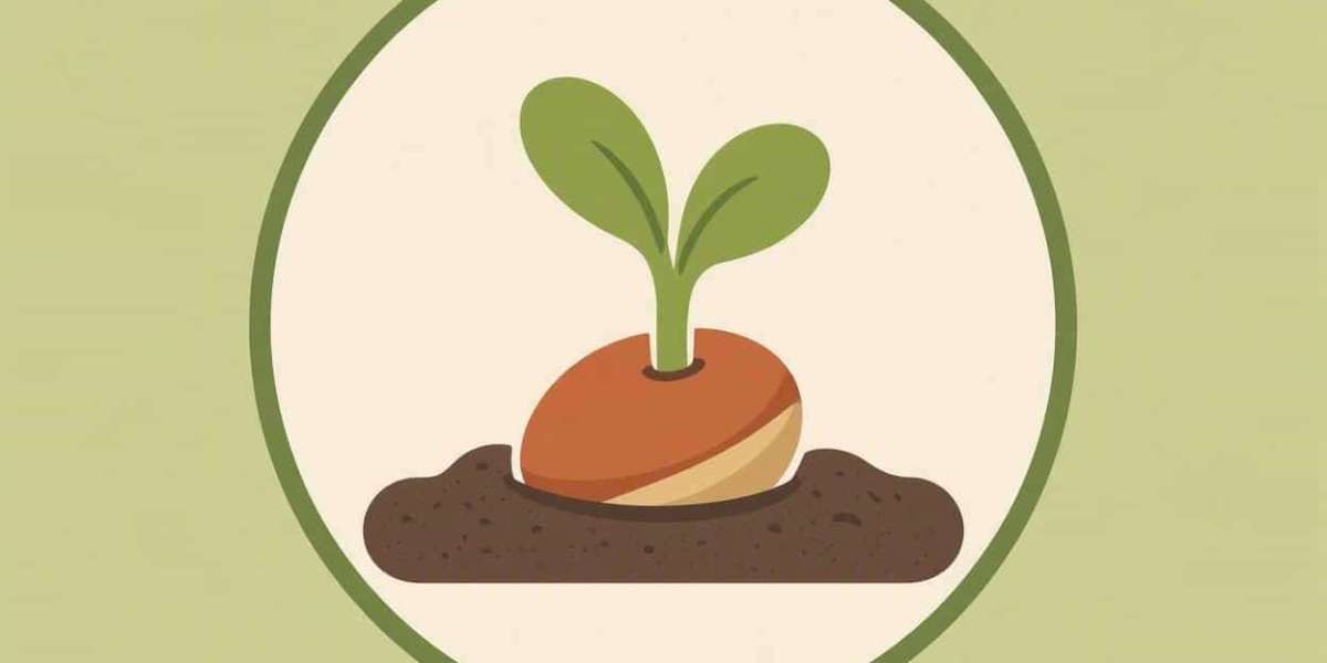 Community Seed Libraries