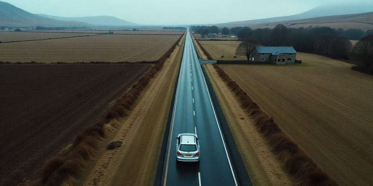 Mastering the Metropolitan Maze The Ultimate Legal Shield for Capital Motorists