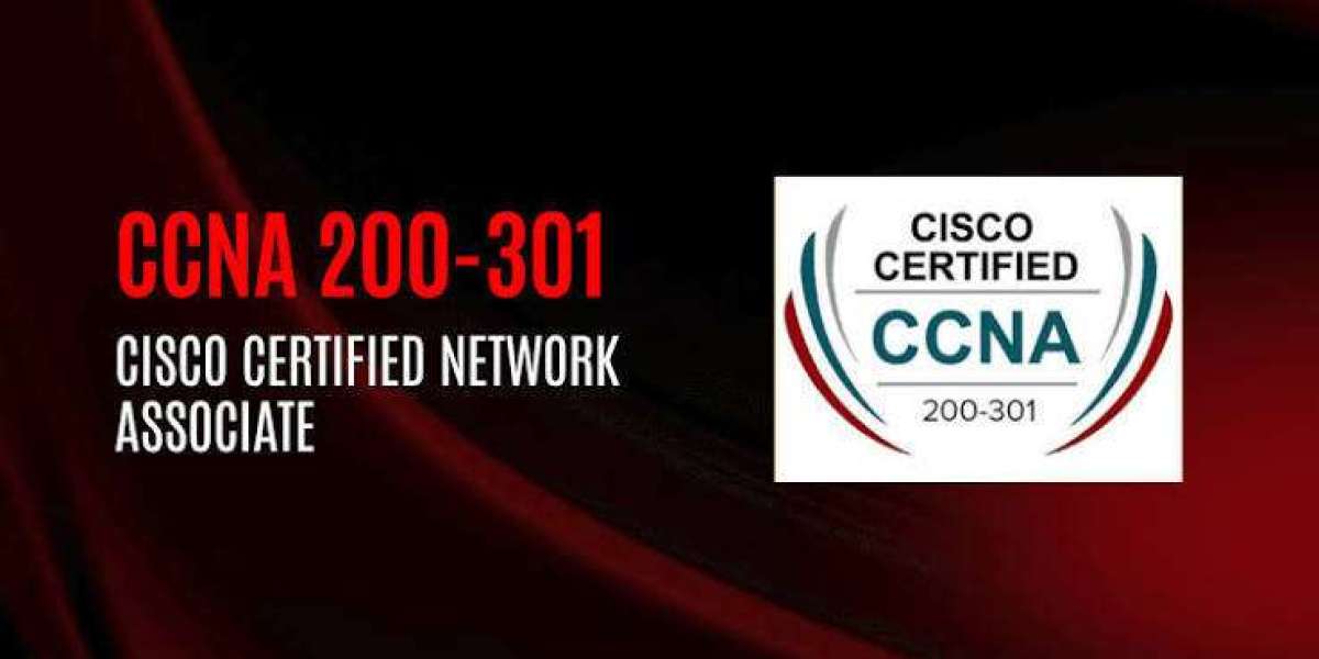 CCNA Course in Pune | Build a Strong Career in Networking with WebAsha Technologies