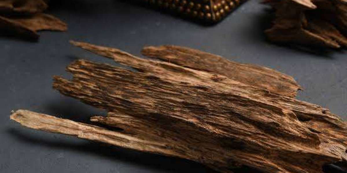 Kalakasi Oud: Exploring Its Rich and Woody Fragrance