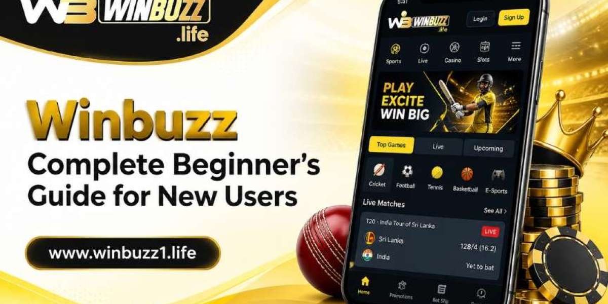 Winbuzz Beginner Guide: Everything New Users Should Know