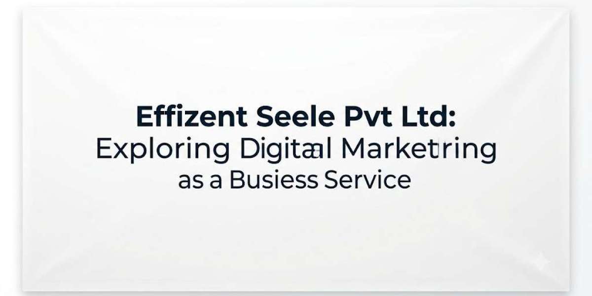 Effizent Seele Pvt Ltd: Exploring Digital Marketing as a Business Service