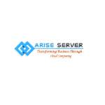 arise server Profile Picture