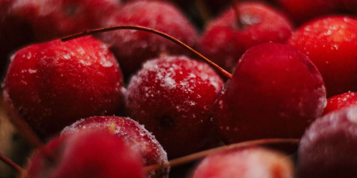 France Frozen Fruits Market Opportunities in Everyday Food Applications