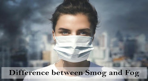 What Is The Difference Between Smog And Fog?