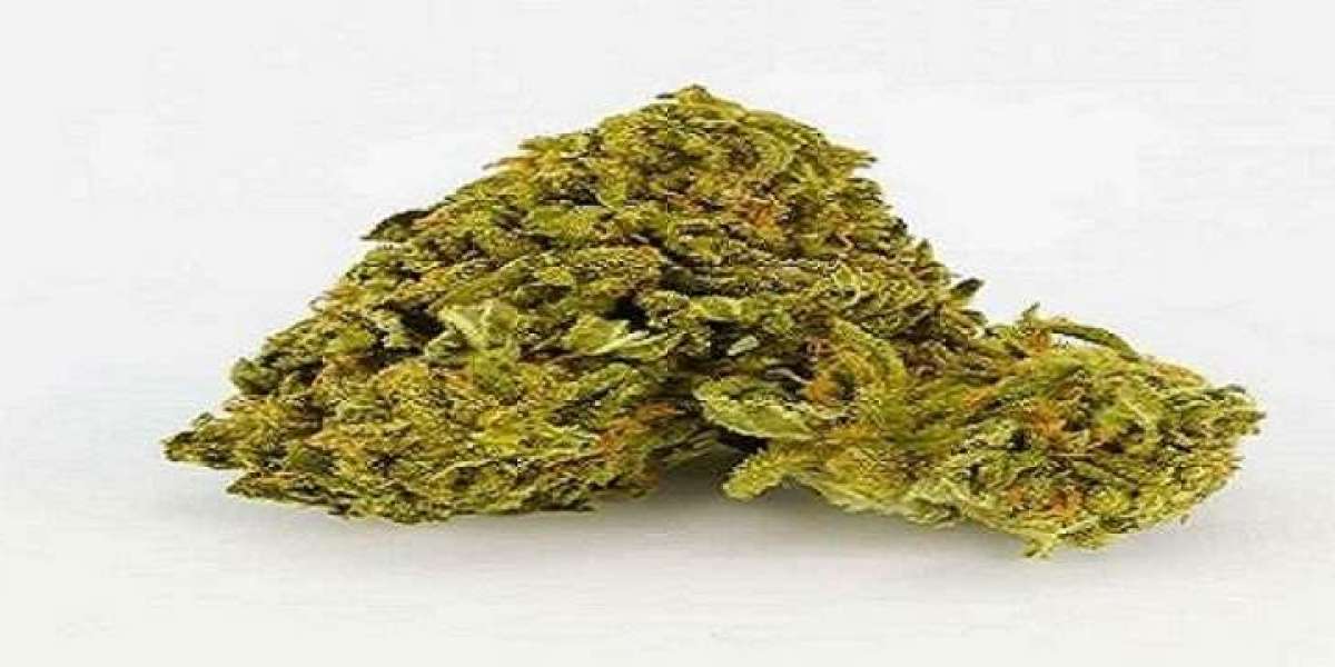 Proven Methods for Storing Craft Flower to Preserve Terpenes and Potency