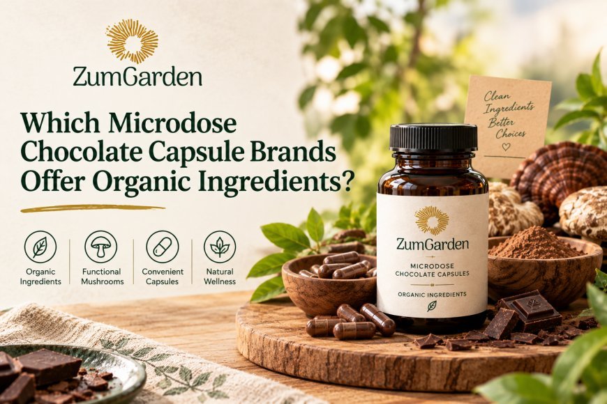 Which Microdose Chocolate Capsule Brands Offer Organic Ingredients?